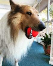 Load image into Gallery viewer, The Smile Ball