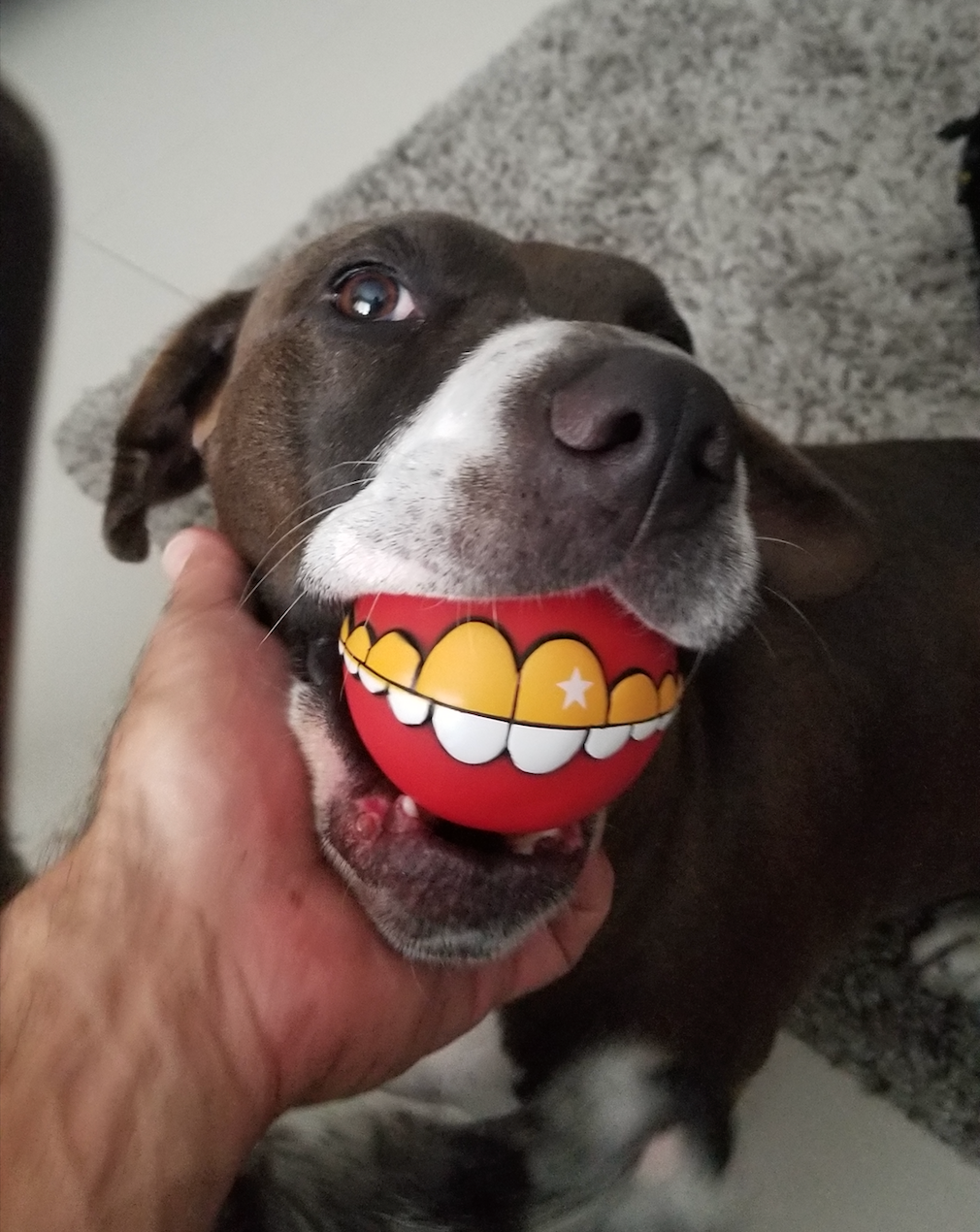 The Smile Ball